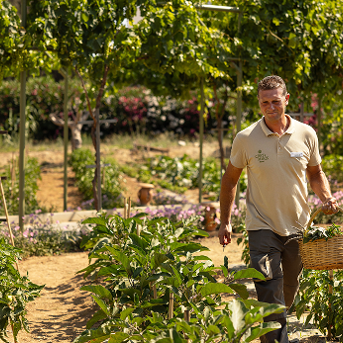 Protecting What Makes Crete Thrive 