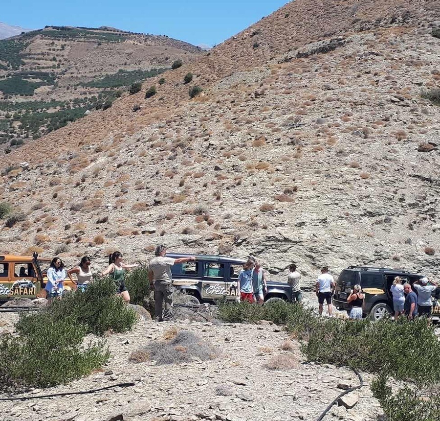 Go Crete Safari - Tagesausflüge