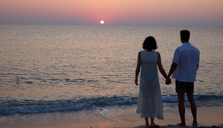 Celebrate Love Under the Sun 