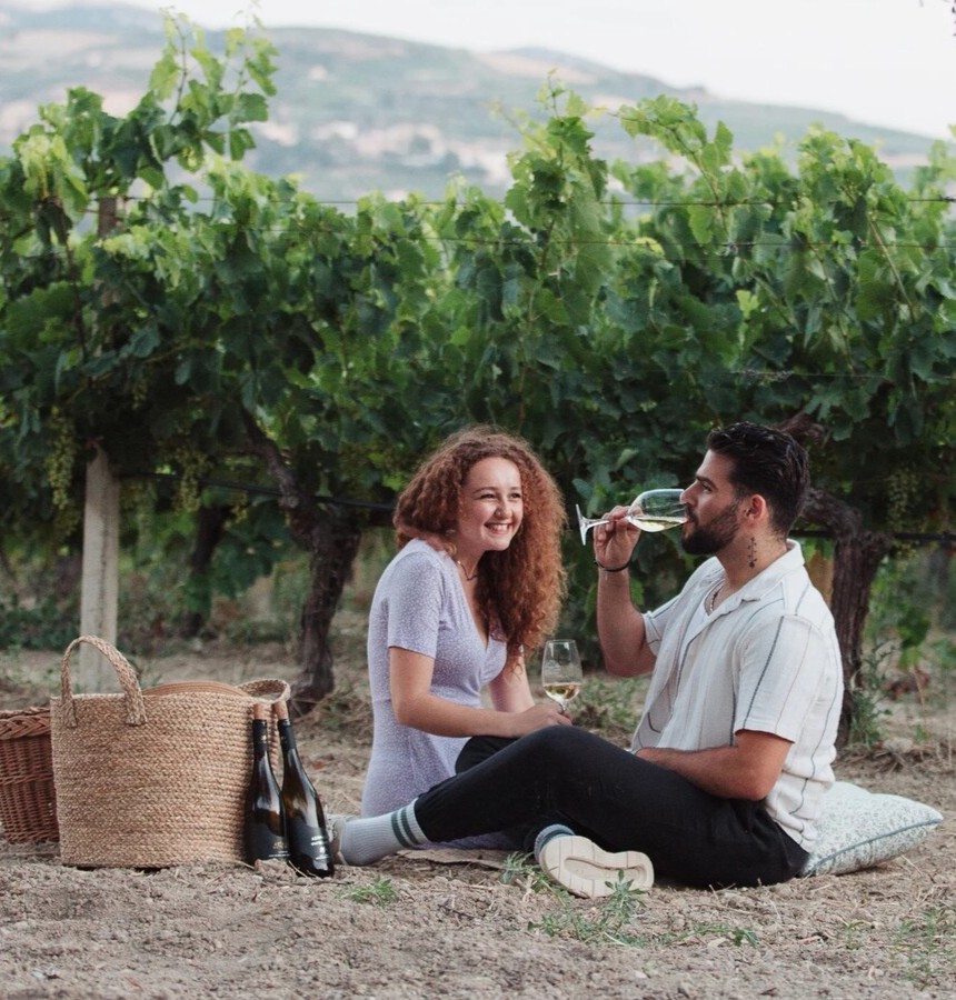 Private Picnic in the Vineyard at Dafnes
